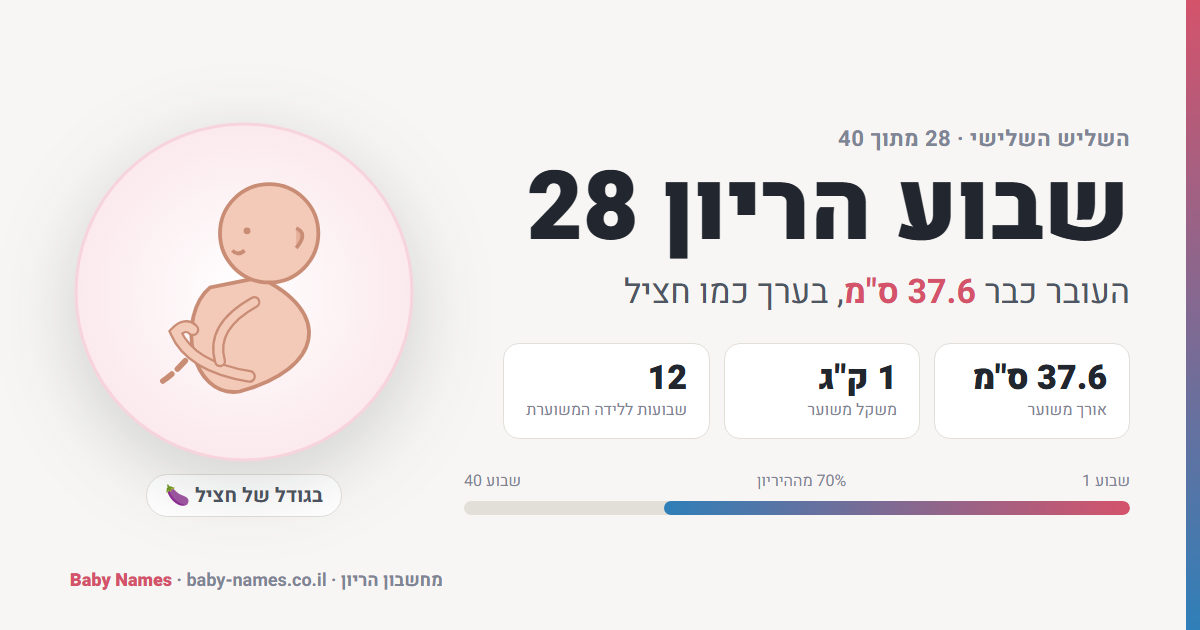 שבוע הריון 28: גודל העובר, אורך ומשקל משוערים