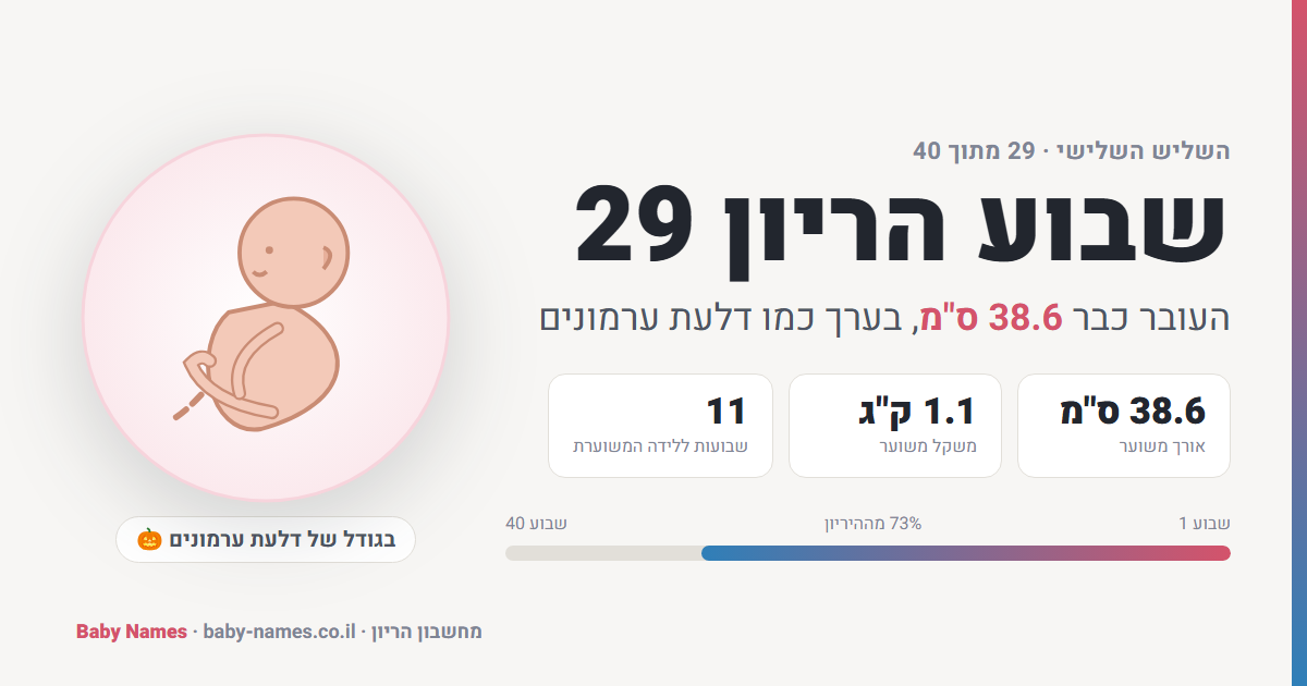 שבוע הריון 29: גודל העובר, אורך ומשקל משוערים