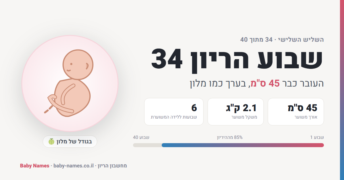 שבוע הריון 34: גודל העובר, אורך ומשקל משוערים